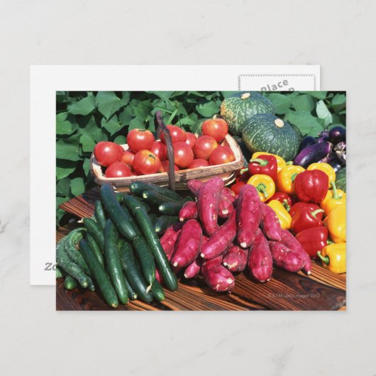 野菜3 ポストカード (正面/裏面)