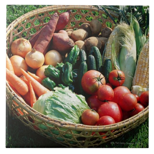 野菜5 タイル (正面)