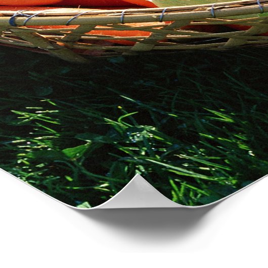 野菜5 ポスター (角)