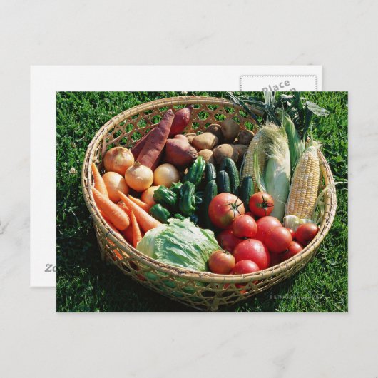 野菜5 ポストカード (正面/裏面)