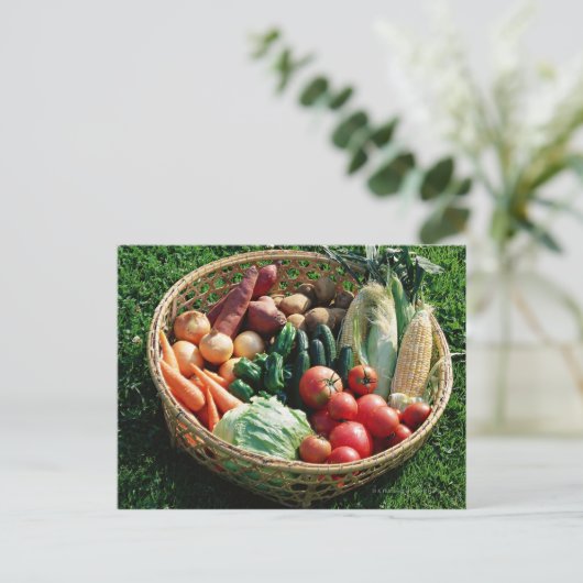 野菜5 ポストカード (スタンド正面)