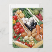 野菜6 ポストカード (正面/裏面)