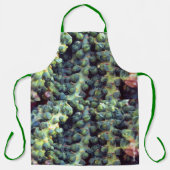 野菜 エプロン (正面)