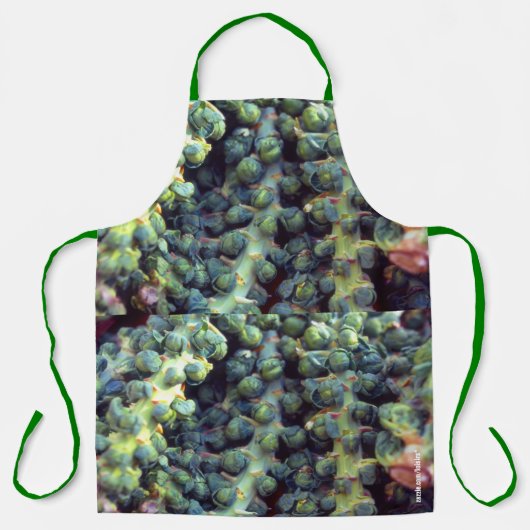 野菜 エプロン (正面)