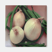 野菜 マグネット (正面)