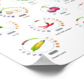 野菜 – 栄養価 – インフォグラフィック ポスター (角)