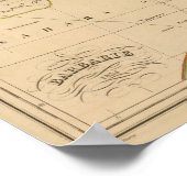 野蛮さ ポスター (角)