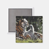 野遊虎 マグネット (正面/裏面)