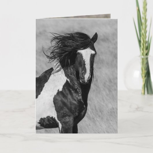 野馬の挨拶状-ワシャキーが火を放つ カード (正面)