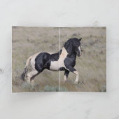 野馬の挨拶状-ワシャキーが火を放つ カード (内部)