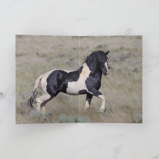 野馬の挨拶状-ワシャキーが火を放つ カード (内部)