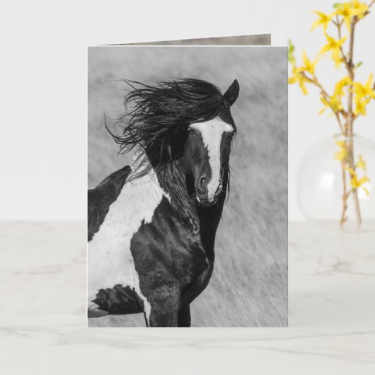 野馬の挨拶状-ワシャキーが火を放つ カード (黄色い花)