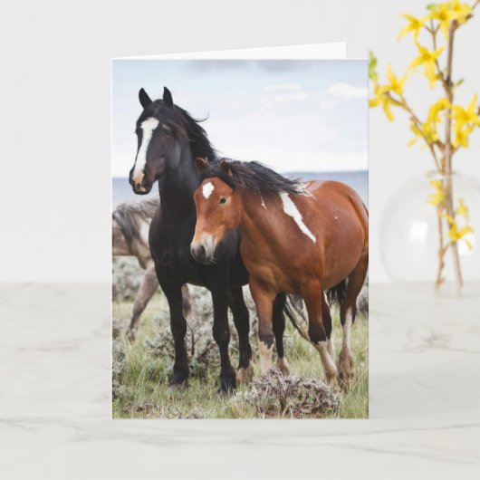 野馬の群れ カード (黄色い花)