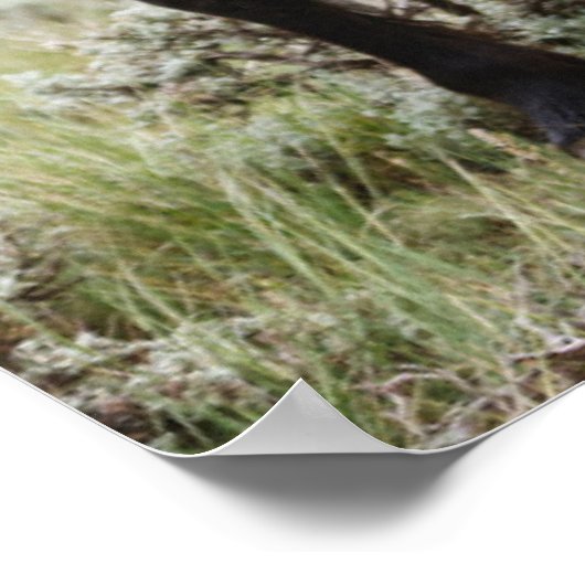 野馬の群れ ポスター (角)