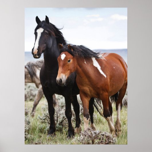 野馬の群れ ポスター (正面)