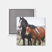 野馬の群れ マグネット (正面/裏面)