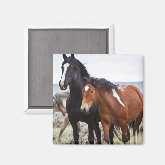 野馬の群れ マグネット (正面/裏面)