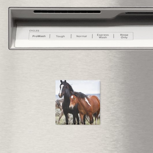 野馬の群れ マグネット (インサイチュ (食洗機))