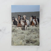 野馬グリーティングカード – タブーが道をリード サンキューカード (内部)