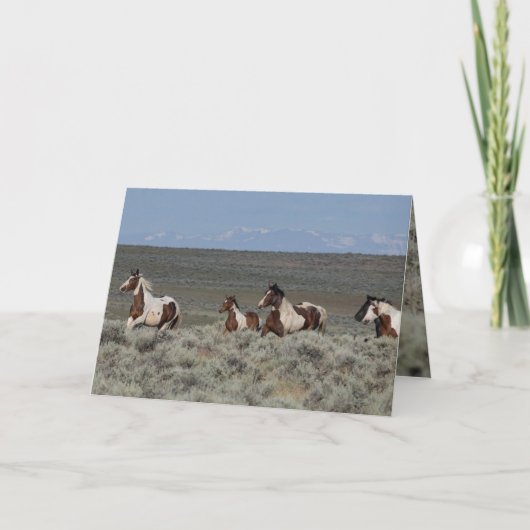 野馬グリーティングカード – タブーが道をリード サンキューカード (正面)