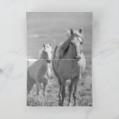 野馬親子の野馬グリーティングカード カード (内部)