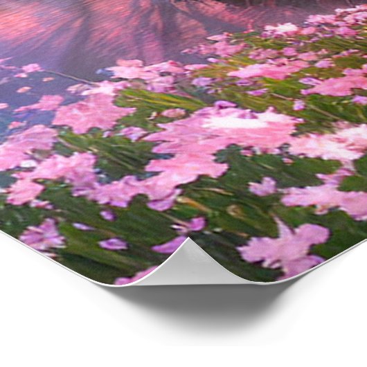 野魅力的野とその流れるピンクの喜び ポスター (角)