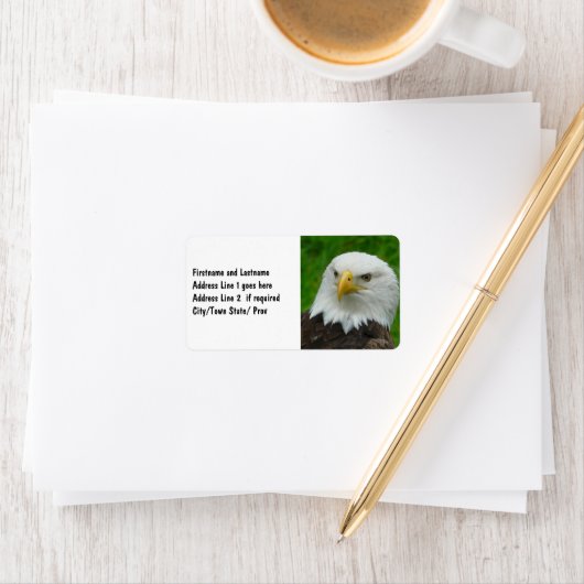 野鳥の写真 – American Bald Agle ラベル (インサイチュ)