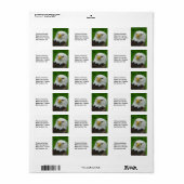 野鳥の写真 – American Bald Agle ラベル (フルシート)