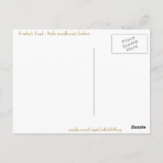 野鳥捕獲者のヒキガエルの郵便はがき ポストカード (裏面)