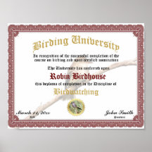 野鳥観察完成度層