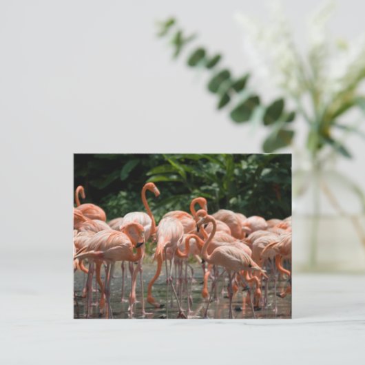 野鳥観察 ポストカード (スタンド正面)