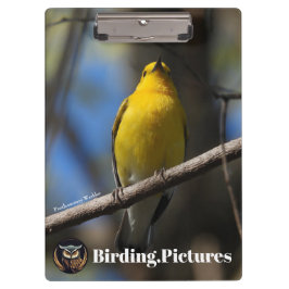 野鳥観察.写真クリップボード クリップボード