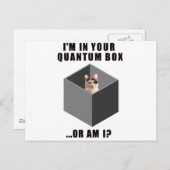 量子ネコ ポストカード (正面/裏面)