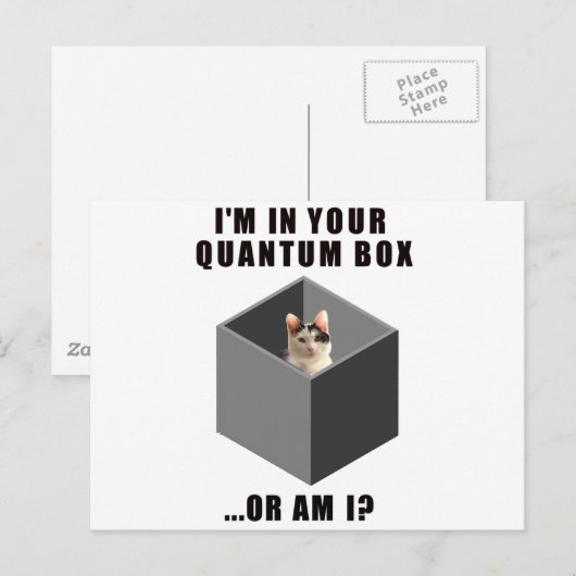 量子ネコ ポストカード (正面/裏面)