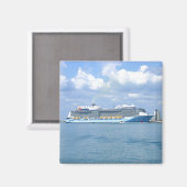 量子マヌーバーカナベラル マグネット (正面/裏面)