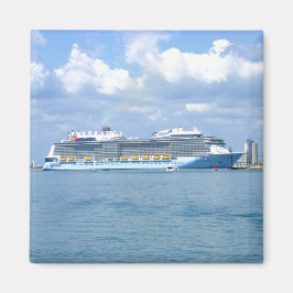 量子マヌーバーカナベラル マグネット