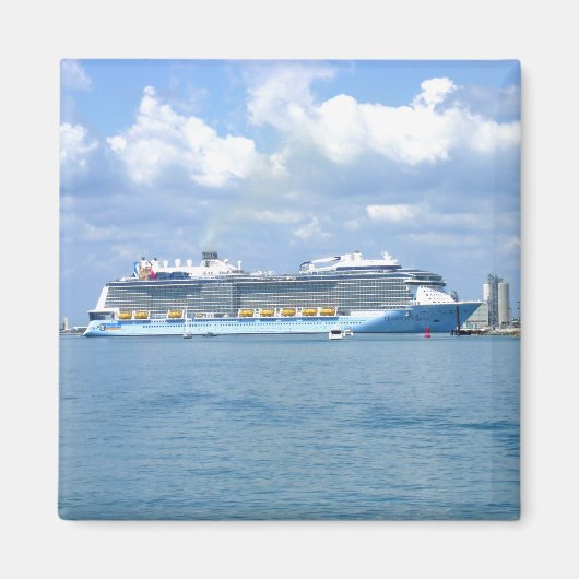 量子マヌーバーカナベラル マグネット (正面)