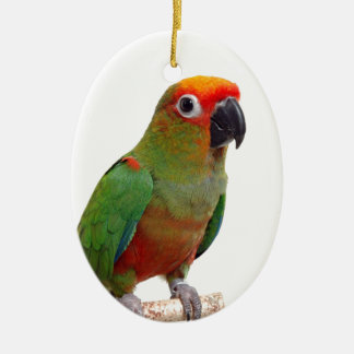 金おおわれたconure セラミックオーナメント