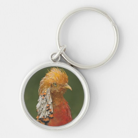 金か中国のなキジのキーホルダーかKeychain キーホルダー (正面)