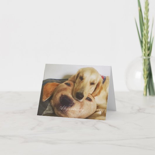 金と金空白のの札 カード (正面)