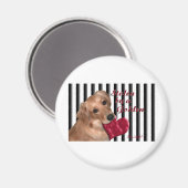 金に盗まれる マグネット (正面/裏面)