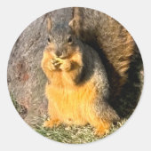 金のリス ラウンドシール (正面)