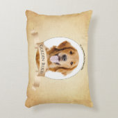 金のルール枕 アクセントクッション (正面(垂直))