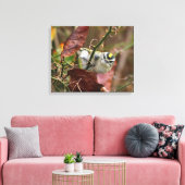 金の冠をかぶったキングレット キャンバスプリント (インサイチュ (リビング))