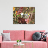 金の冠をかぶったキングレット キャンバスプリント (インサイチュ (リビング))