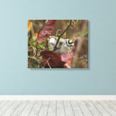 金の冠をかぶったキングレット キャンバスプリント (インサイチュ (ウッドフロア))