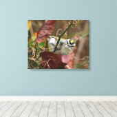 金の冠をかぶったキングレット キャンバスプリント (インサイチュ (ウッドフロア))