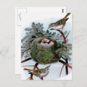 金の冠をかぶったキングレット ポストカード (正面/裏面)