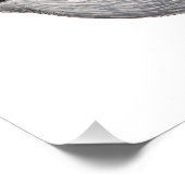 金の冠を持つキングレット フォトプリント            (角)