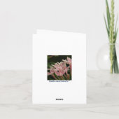 金の押し花　サンクスカード サンキューカード (裏面)